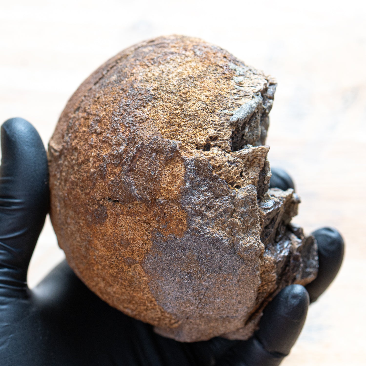 37935TRINJ250911-MAIN-