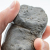 Megalodon Poop - 3.86
