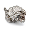 Campo del Cielo Meteorite - 39.69g