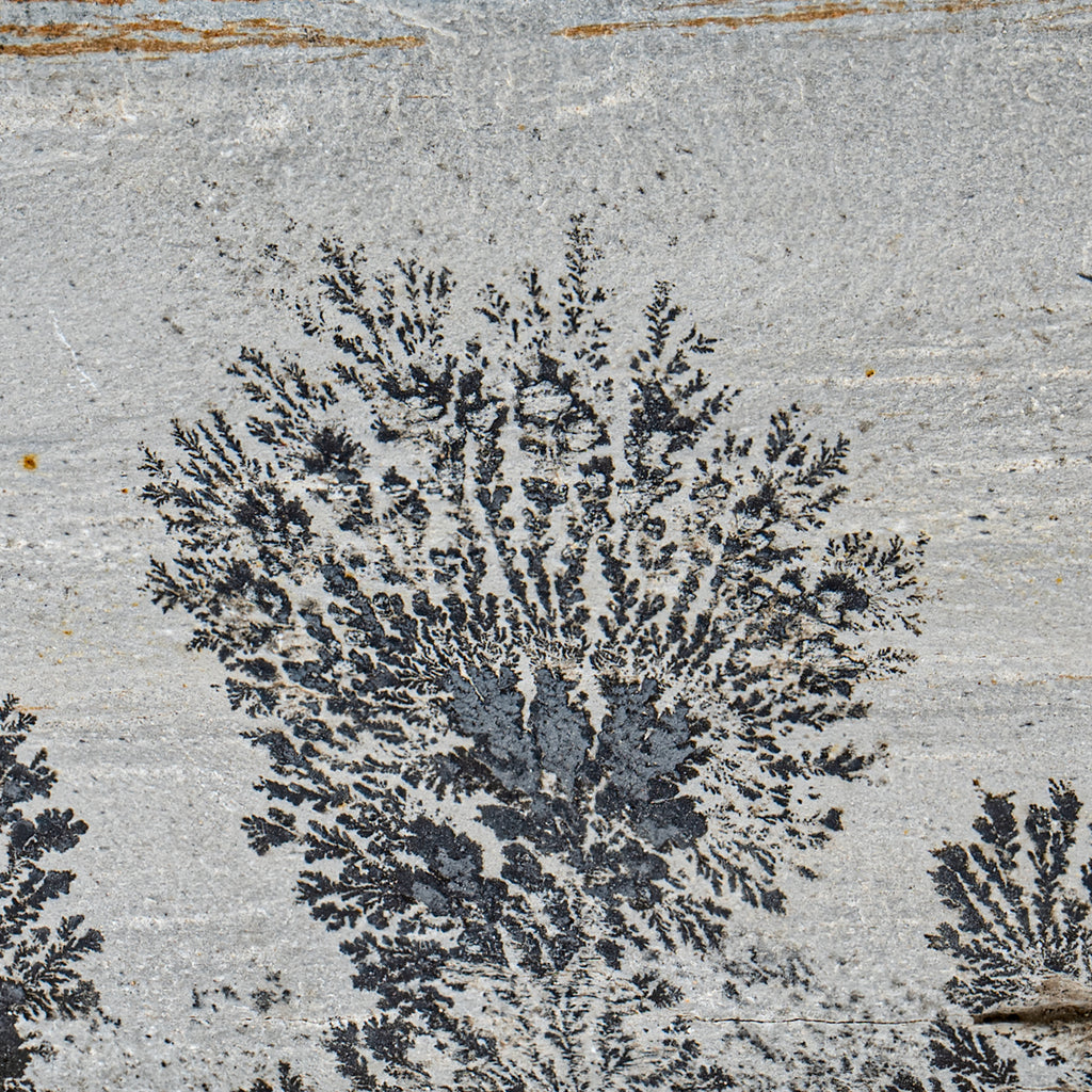 Dendrite Crystal Sandstone - 5.60"
