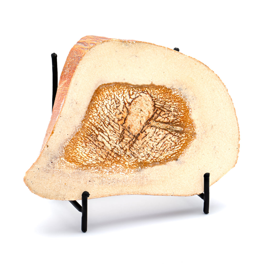 Woolly Mammoth Bone Slice- SOLD 5.69" Humerus Slice with Soft Tissue Bone Marrow - Siberian