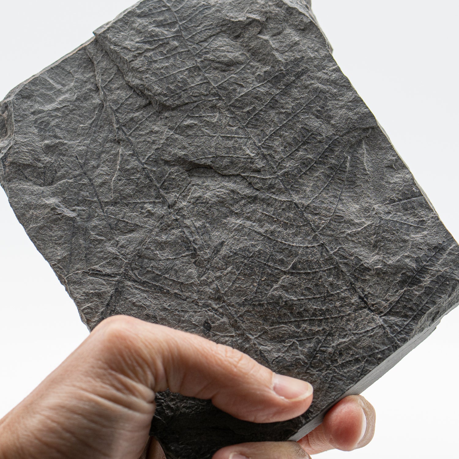 57340P230929-MAIN-004_1500x.