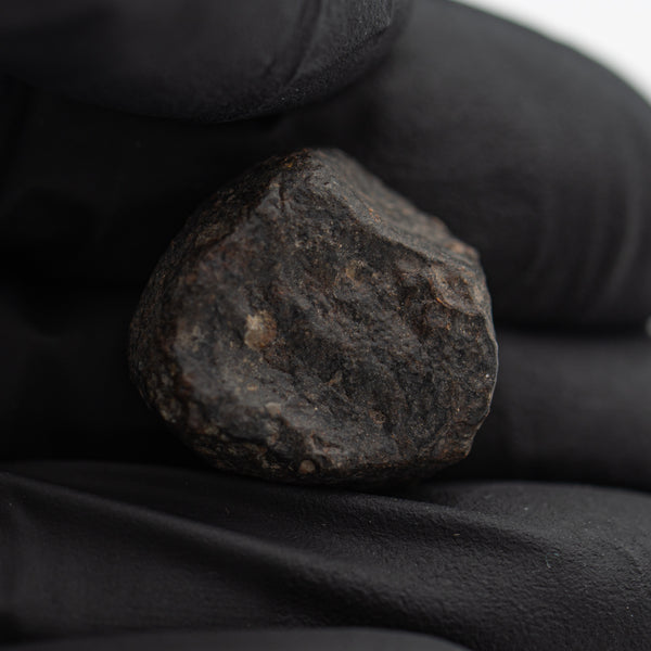 Chondritic Meteorite NWA 869 SOLD 6.24g