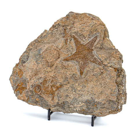 64290PS20250219-MAIN-009_480x.