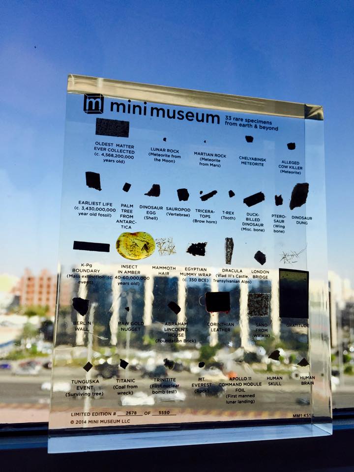 Mini Museum - First Edition (LARGE - 33 Specimens) | Mini Museum
