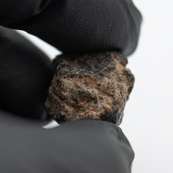 671CMNWA869241121-MAIN-