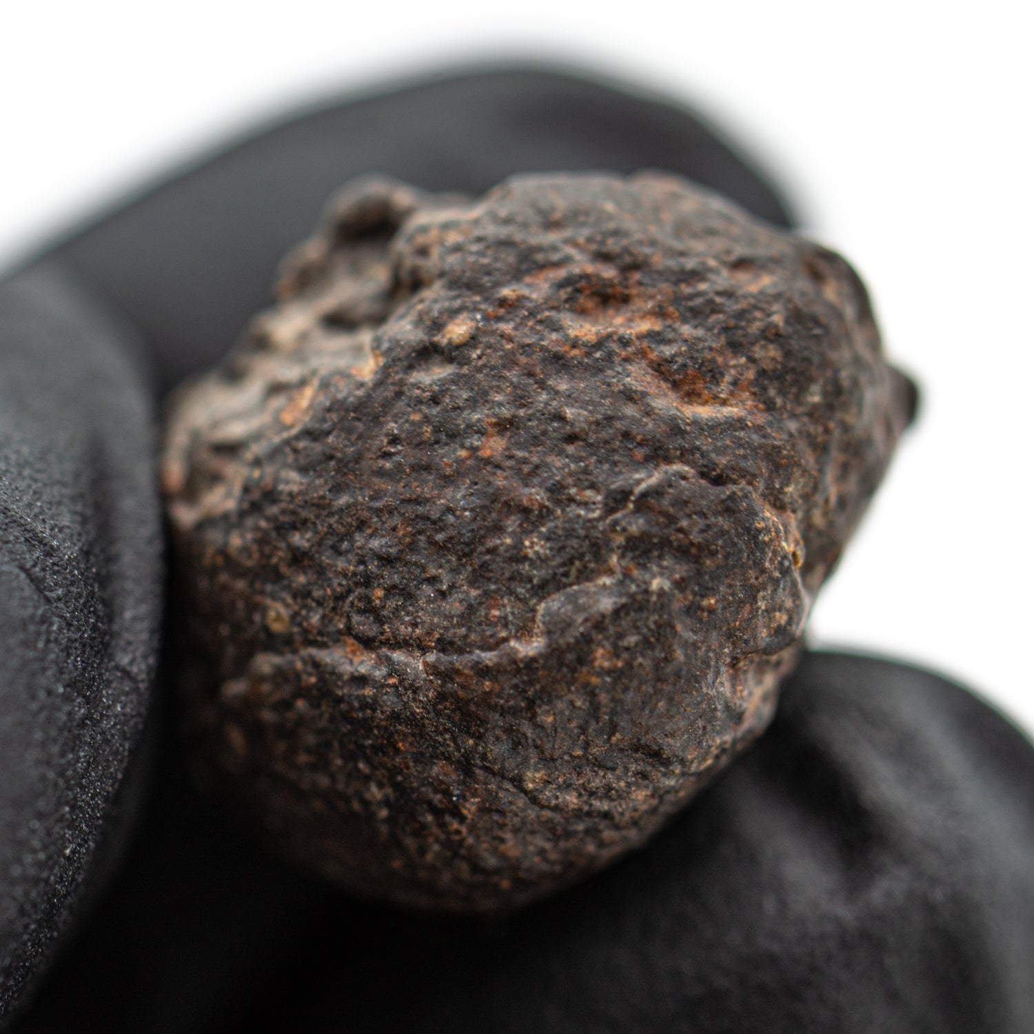 Chondritic Meteorite NWA 869 SOLD 6.79g