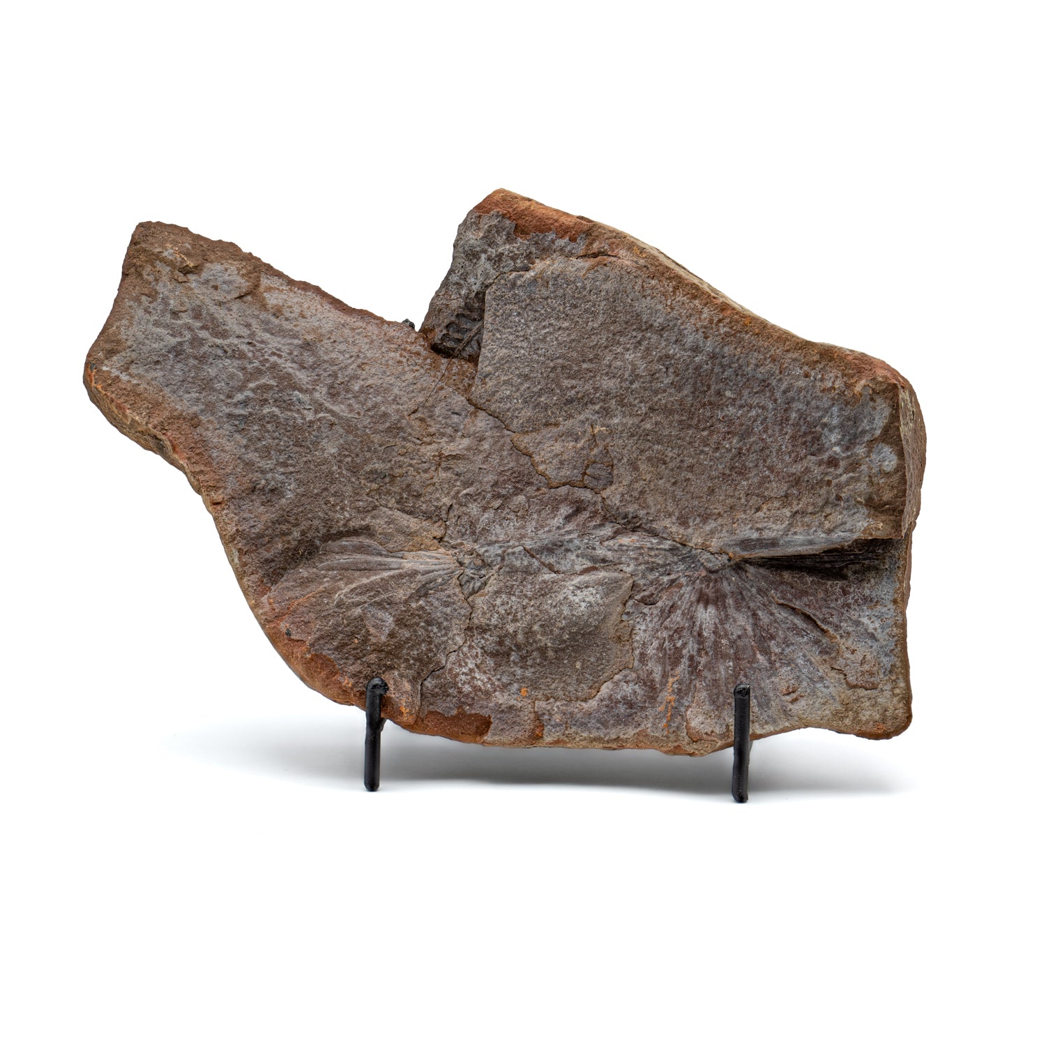 73715MC231102-MAIN-005_1500x.