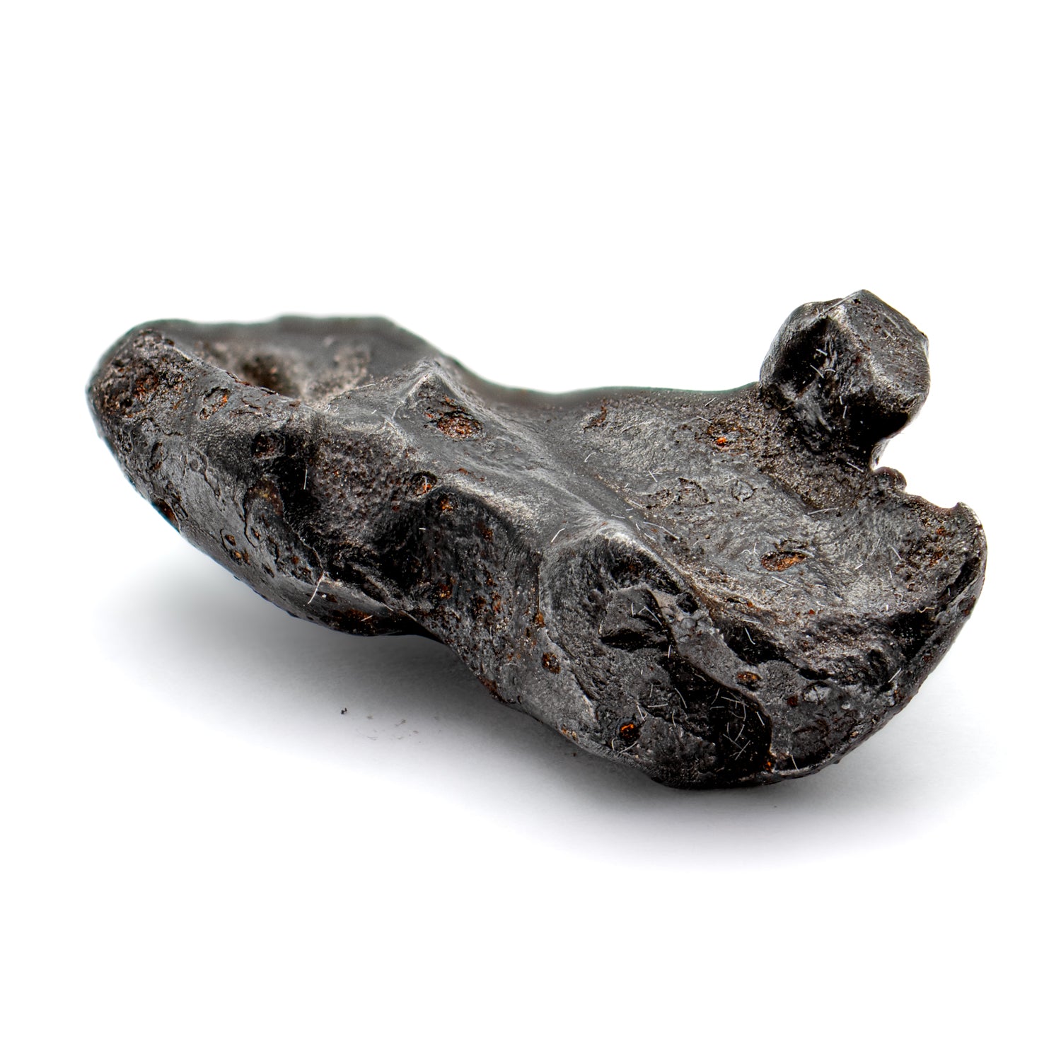 中古 PhonosycographDISK - Ancient Termites phonopsychographdisk.jpg