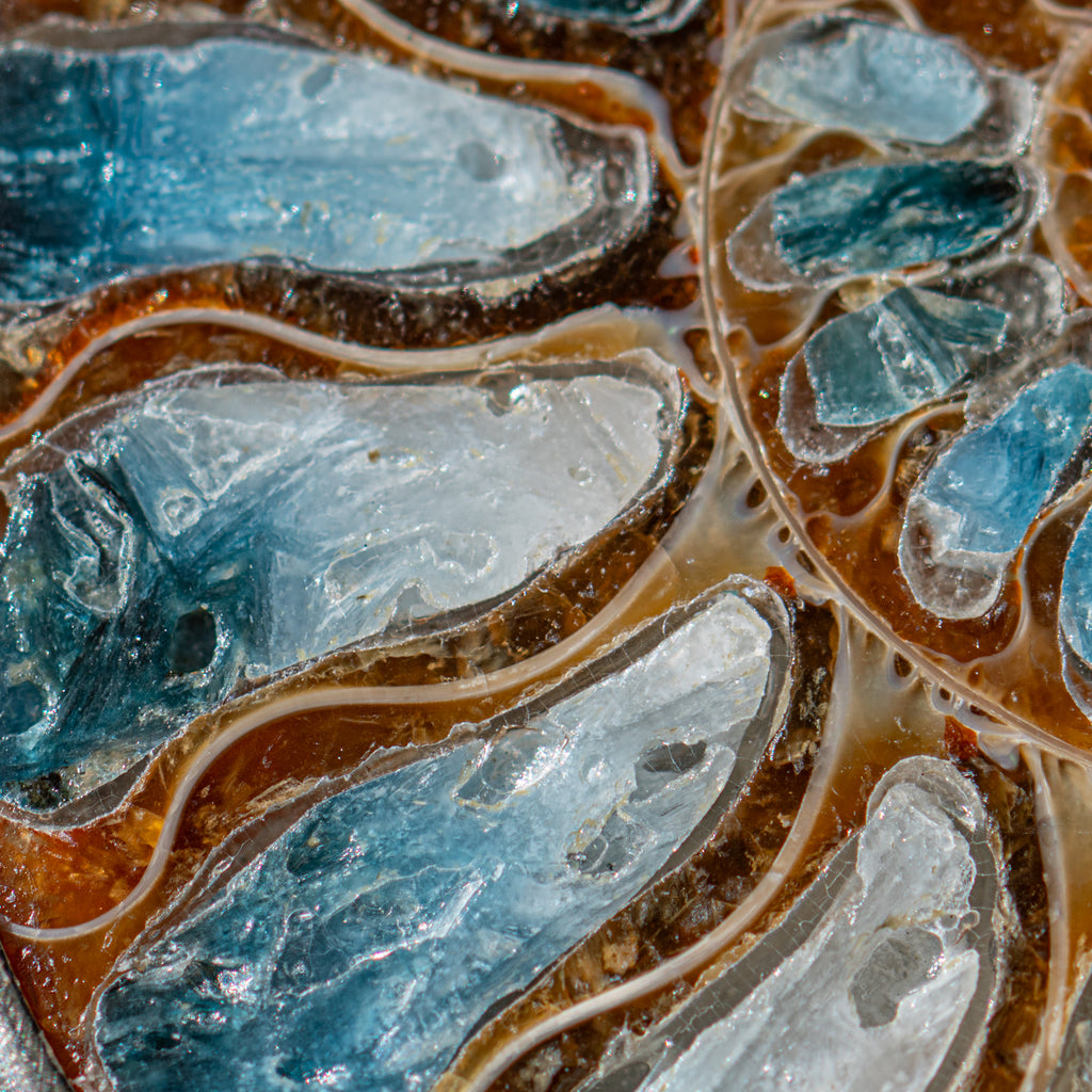 Blue Ice Ammonite Necklace