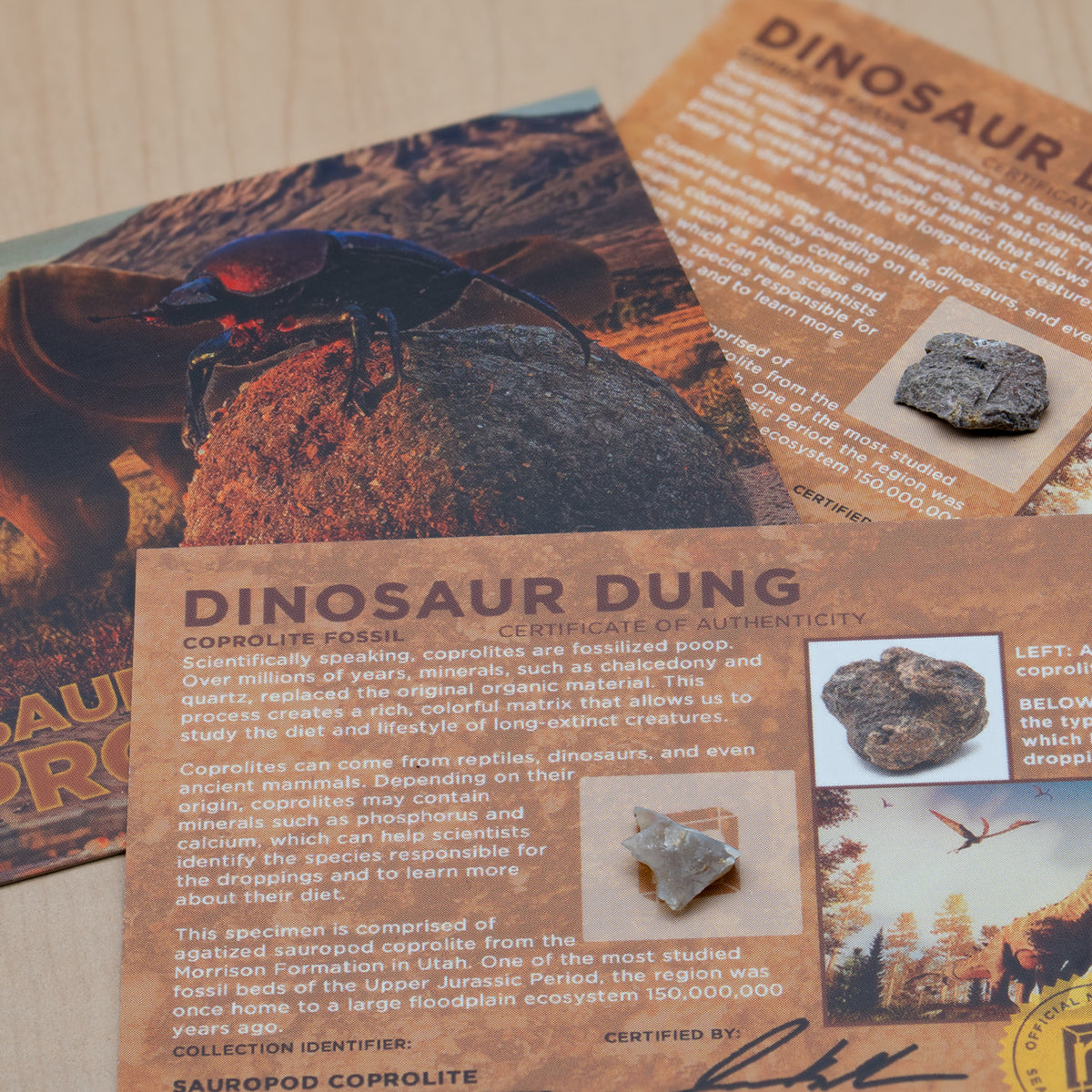 dinosaur dung fossil Dinosaur Dung - Card Display