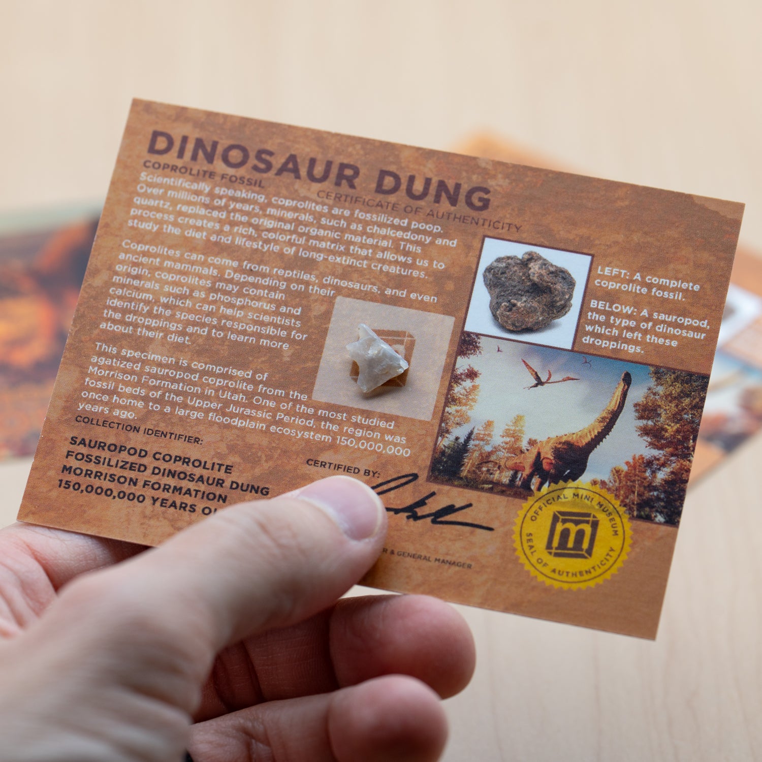 Dinosaur Dung - Card Display