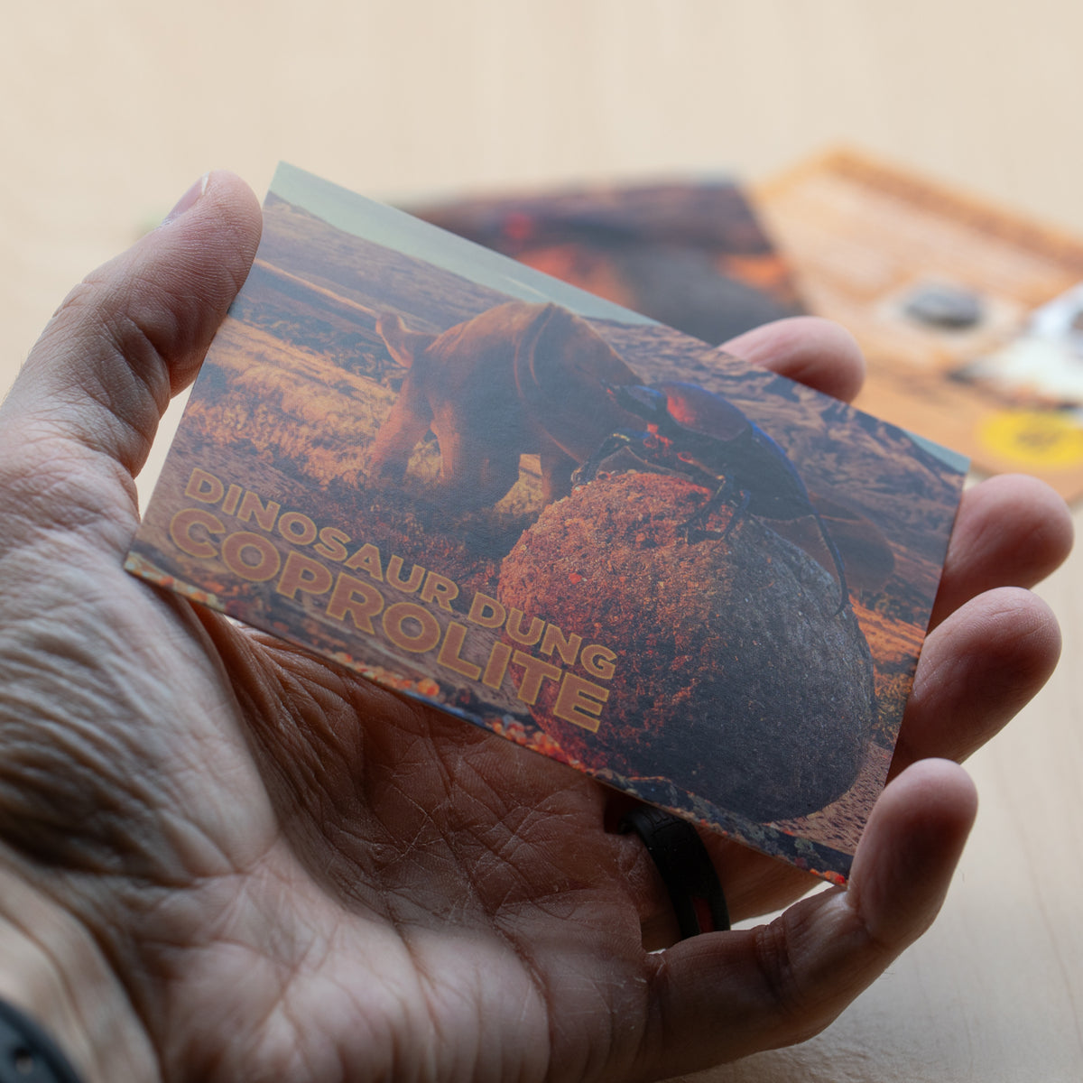 dinosaur dung fossil Dinosaur Dung - Card Display
