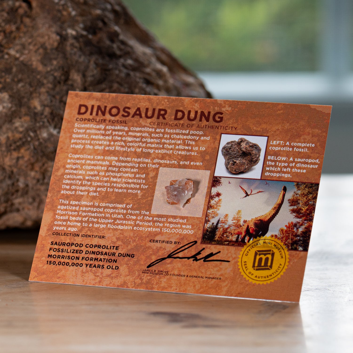 Dinosaur Dung - Card Display