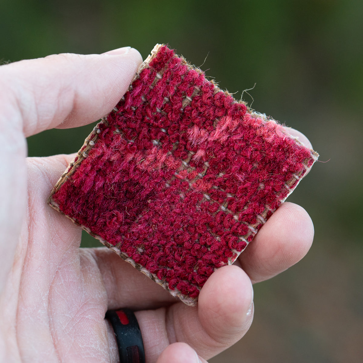 Walt Disney Disneyland Cranberry Room Carpet - 2x2 Inches