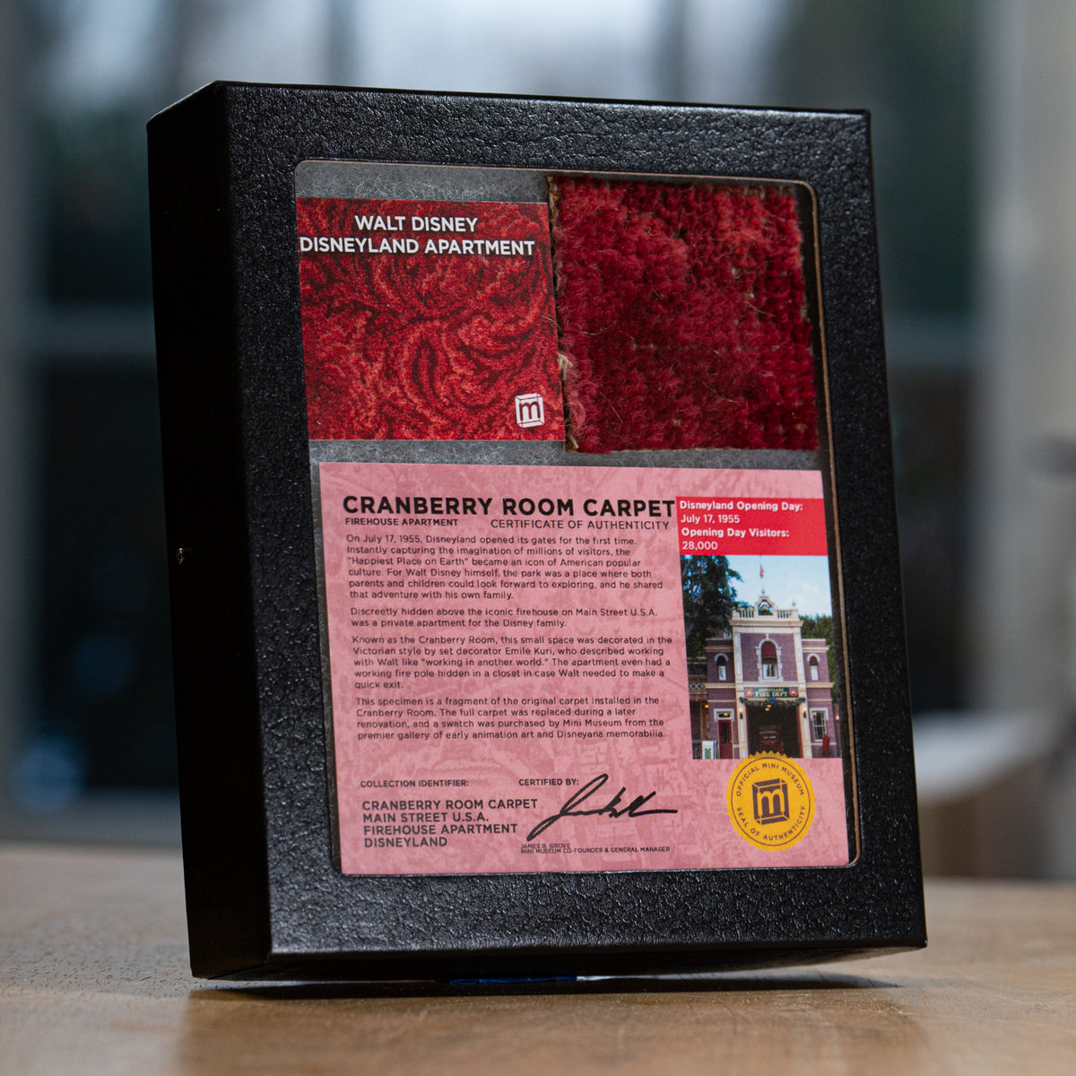 Walt Disney Disneyland Cranberry Room Carpet - 2x2 Inches