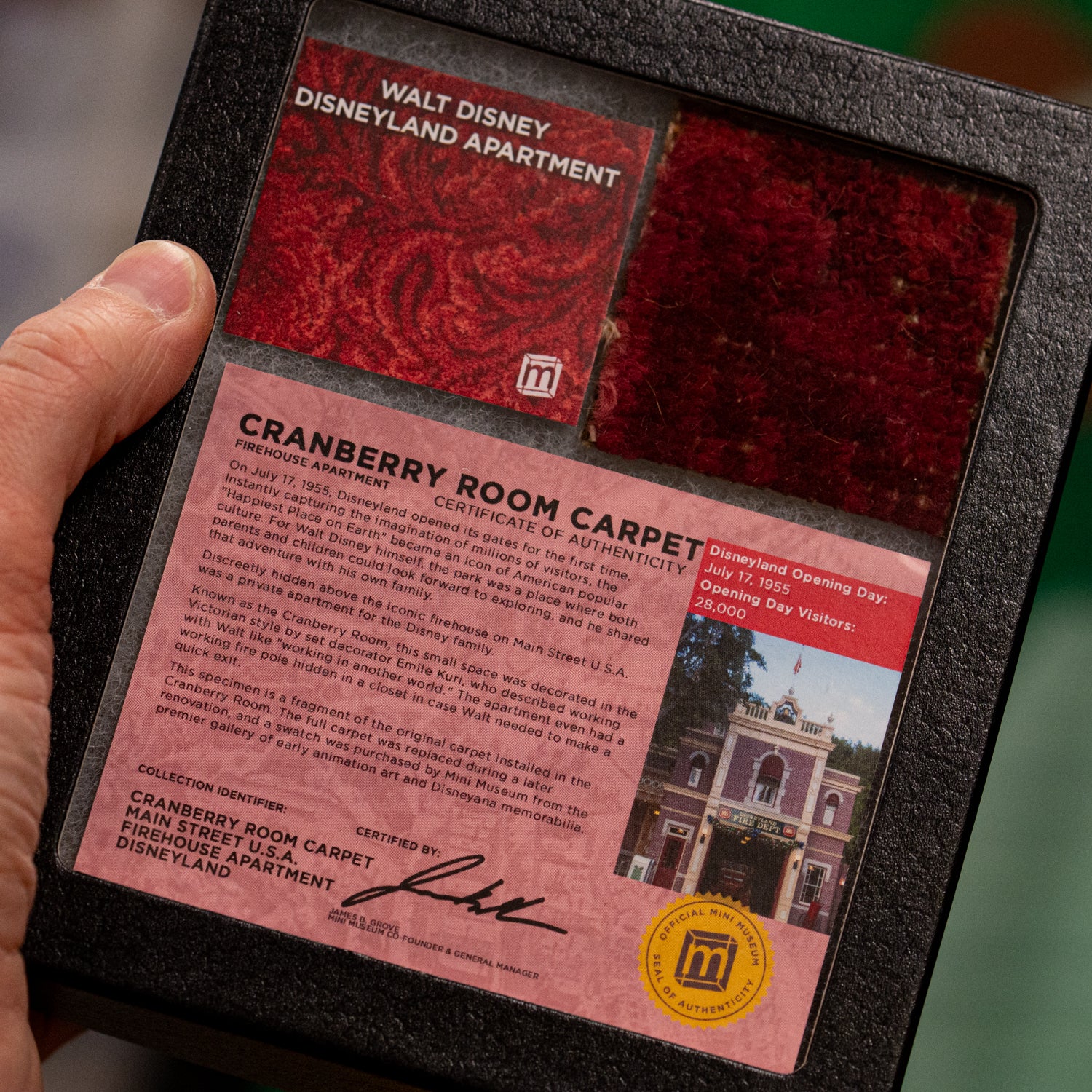 Walt Disney Disneyland Cranberry Room Carpet - 2x2 Inches