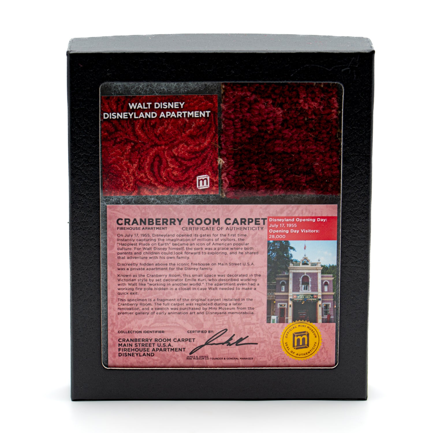 Walt Disney’s Disneyland Walt Disney Disneyland Cranberry Room Carpet - 2x2 Inches