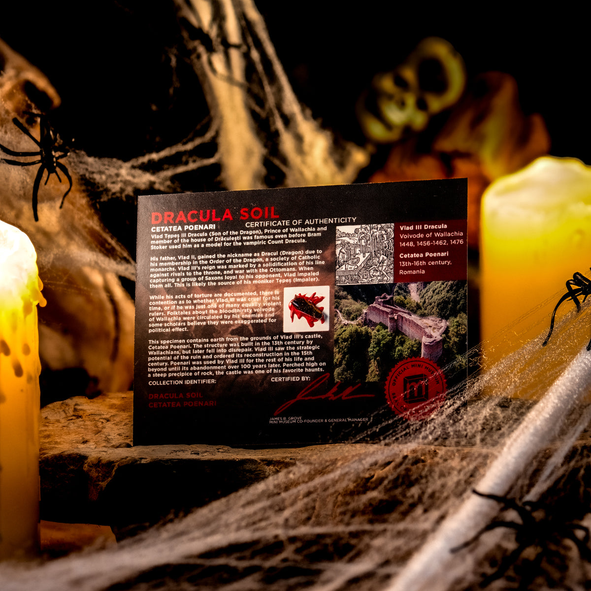 Dracula's Castle Soil Coffin - Display Card 🦇