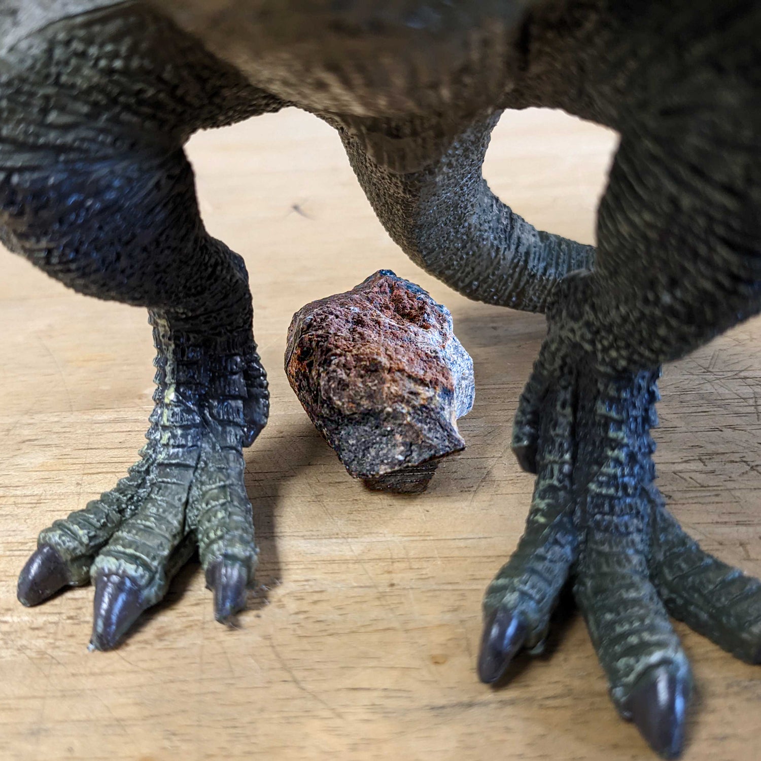 Dinosaur Dung (Coprolite)