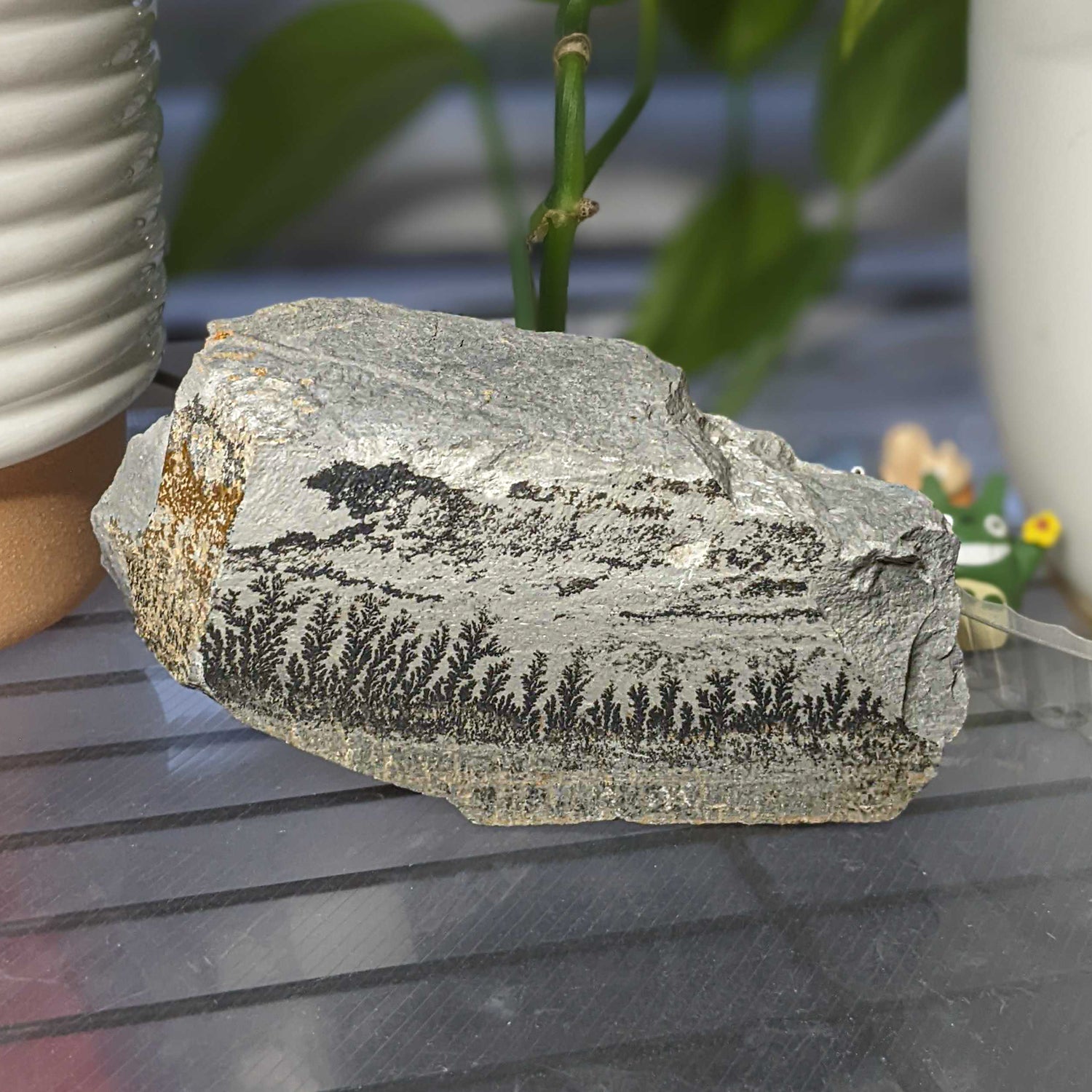Dendrite Crystal Sandstone 2.97