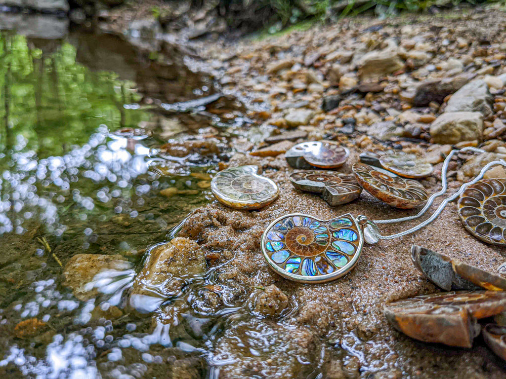 Museum Ammonite Necklace - & Abalone Mini