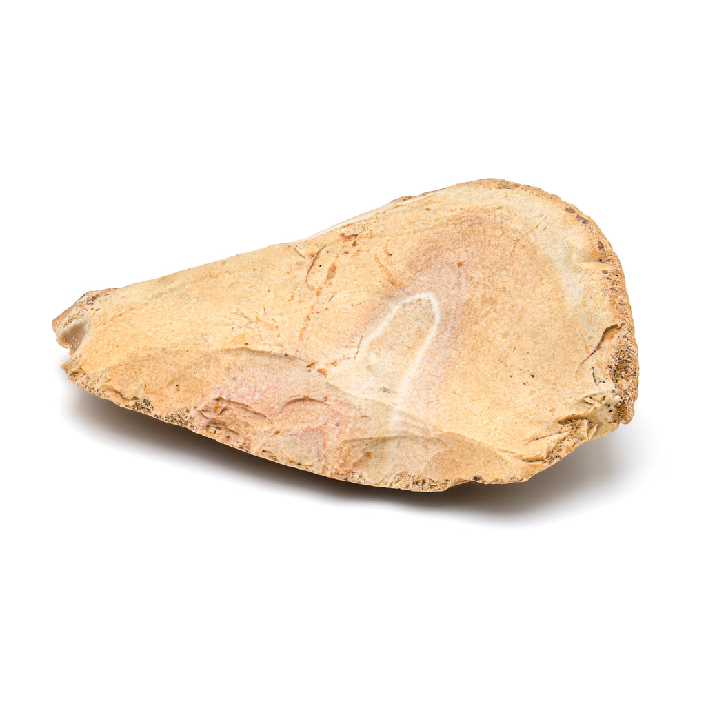 Neanderthal Classic Riker Box Stone Tool Fragment | Mini Museum