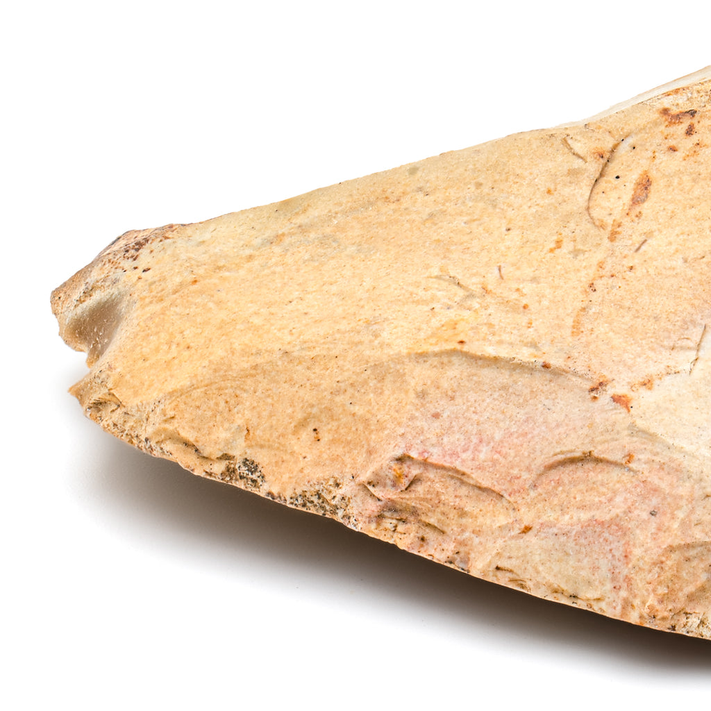 Neanderthal Stone Tool - SOLD 3.64" Scraper