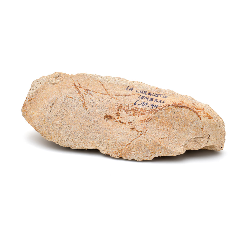 Neanderthal Stone Tool - 3.85" Scraper