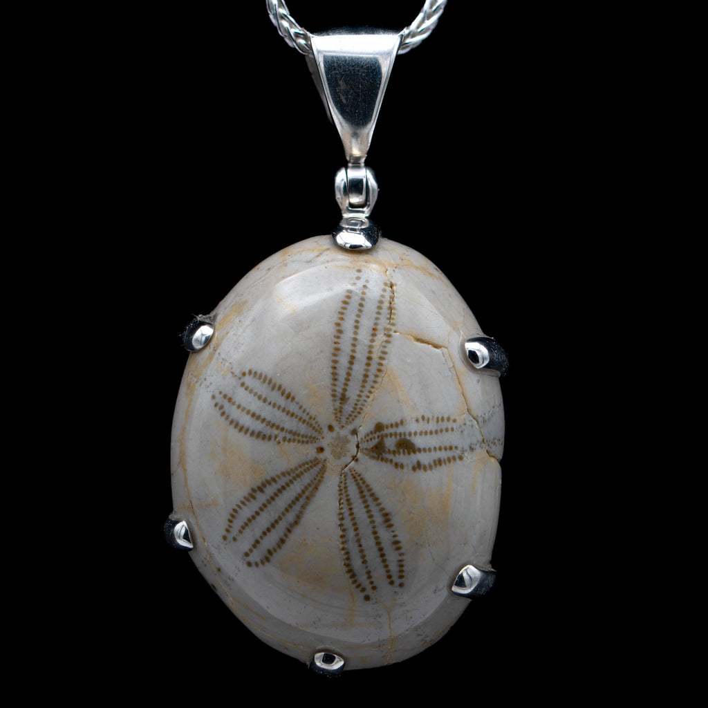 Cretaceous Sea Urchin Pendant Necklace