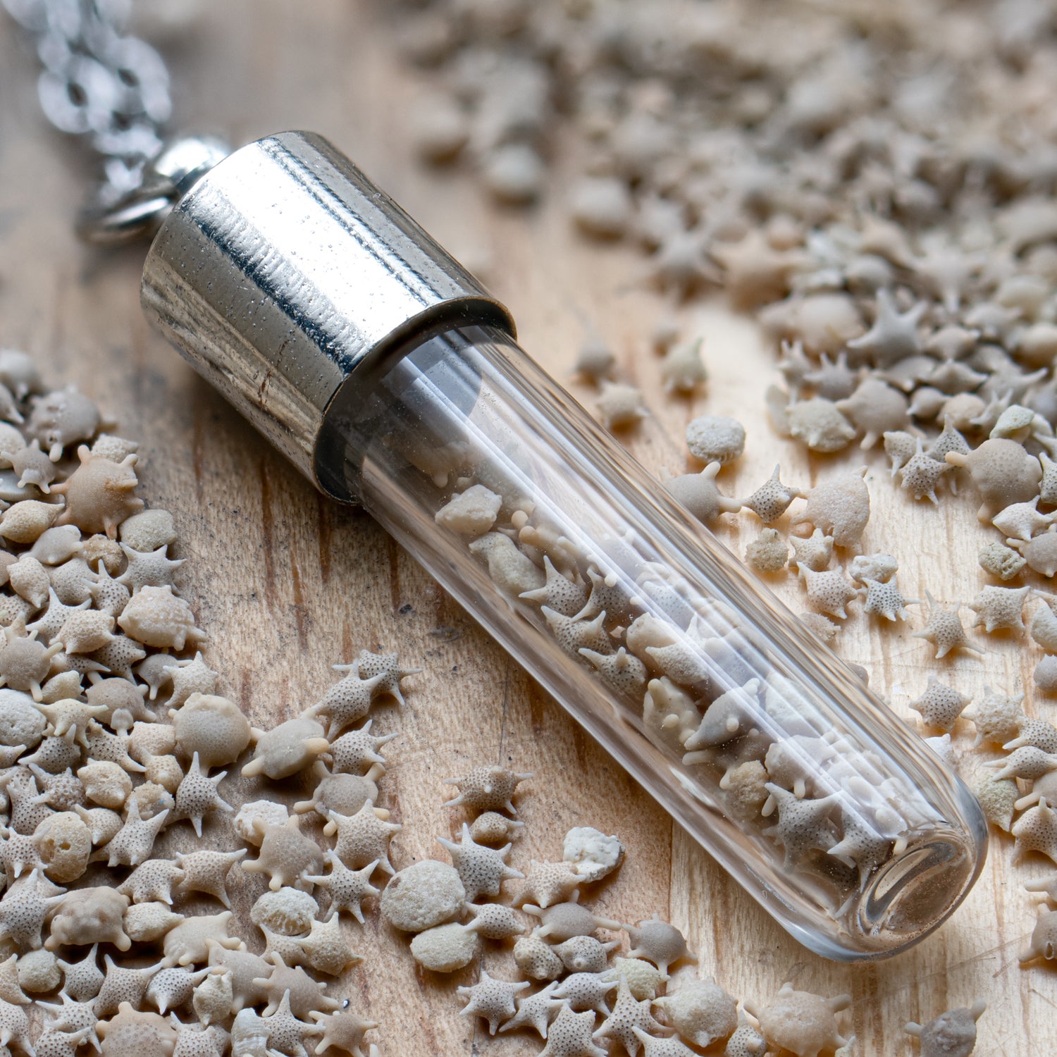 硫黄島珊瑚オブジェ Japanese Star Sand Vial Necklace