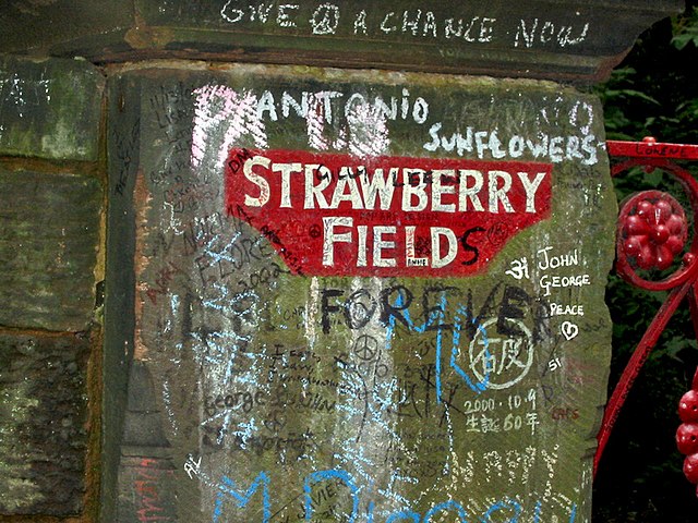 Beatles Brick Fragment Strawberry Field Brick Collectible Specimen,  Includes Display Case - Mini Museum