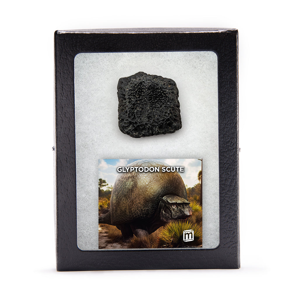 99 and Under Mini Museum