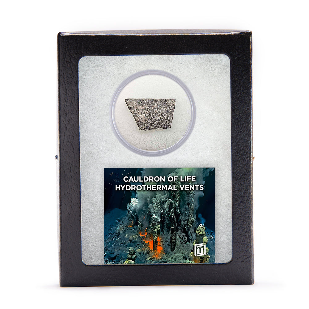 Hydrothermal Vents Cauldron of Life