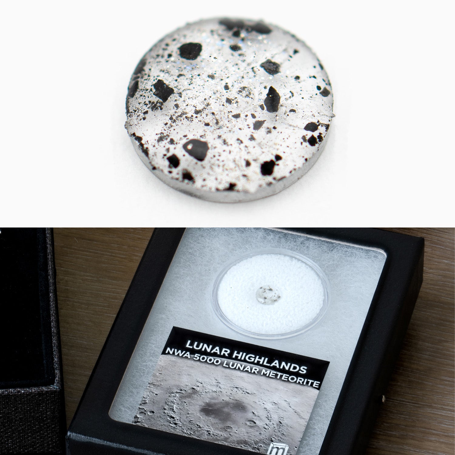 メルト めておら meteorites BIRTHDAY GOODS 2024 NEWS | CREATOR | 株式会社STPR