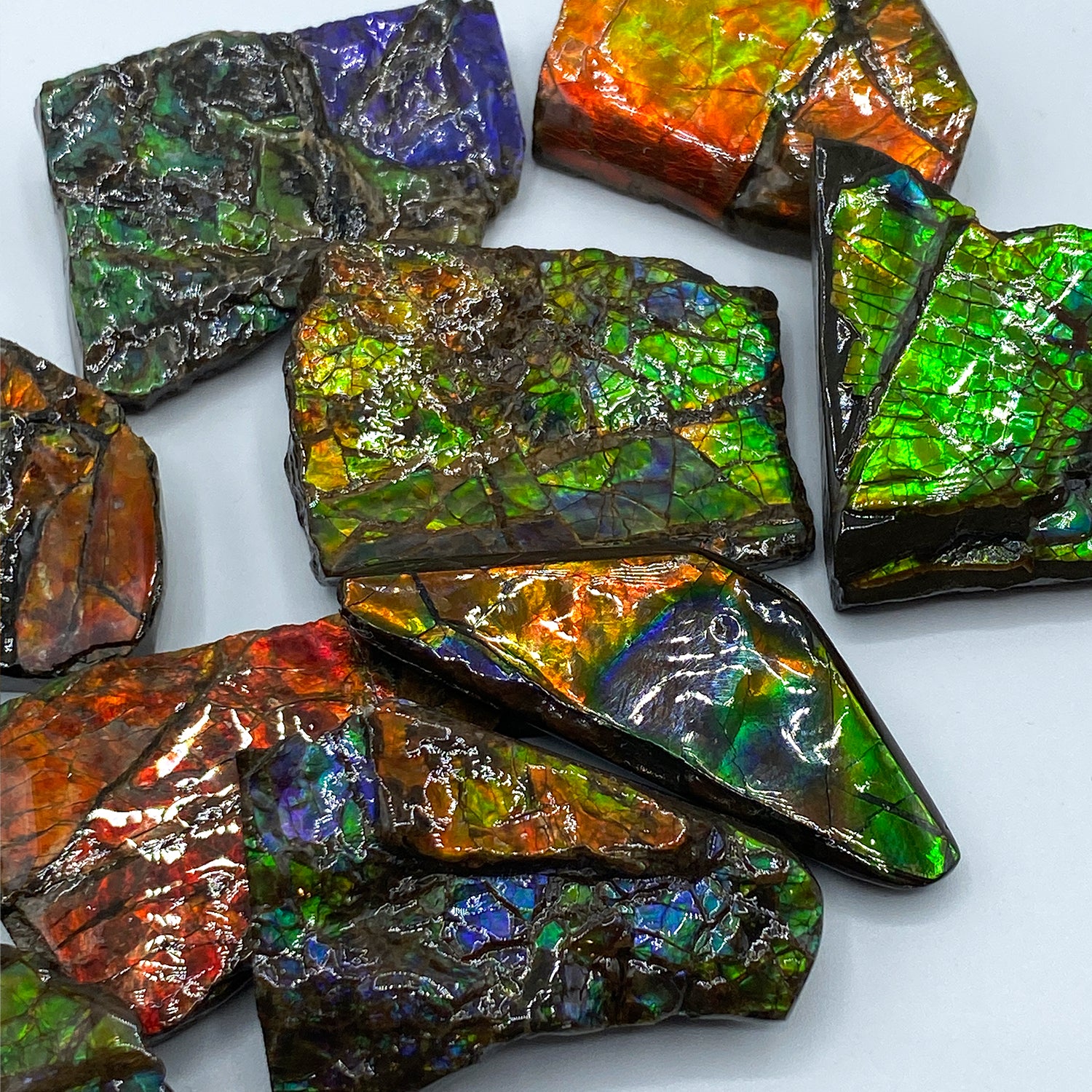 35) Ammolite Crystal 2024 Gemstone