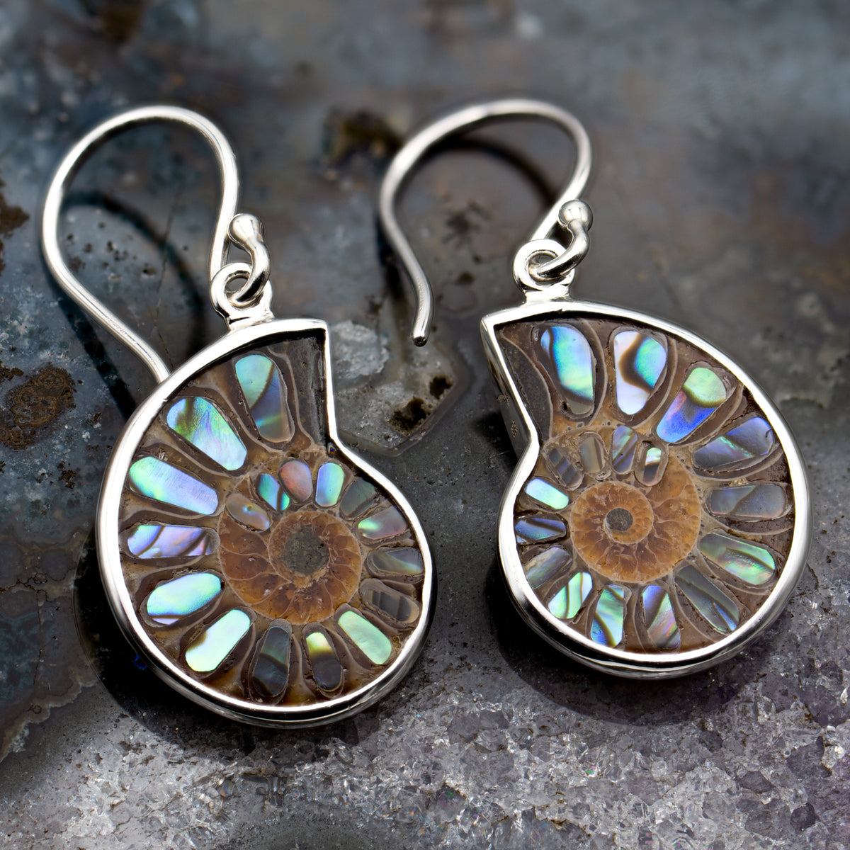 Ammonite Abalone Earrings