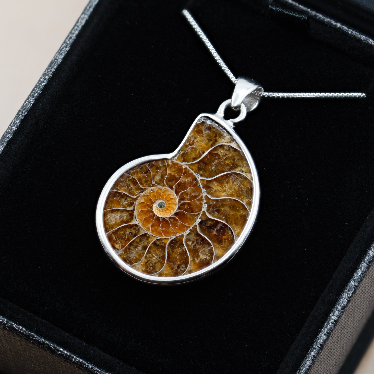 Fossil Ammonite Heart deals Necklace Sterling Silver 261202 Best Price No Offers Tks