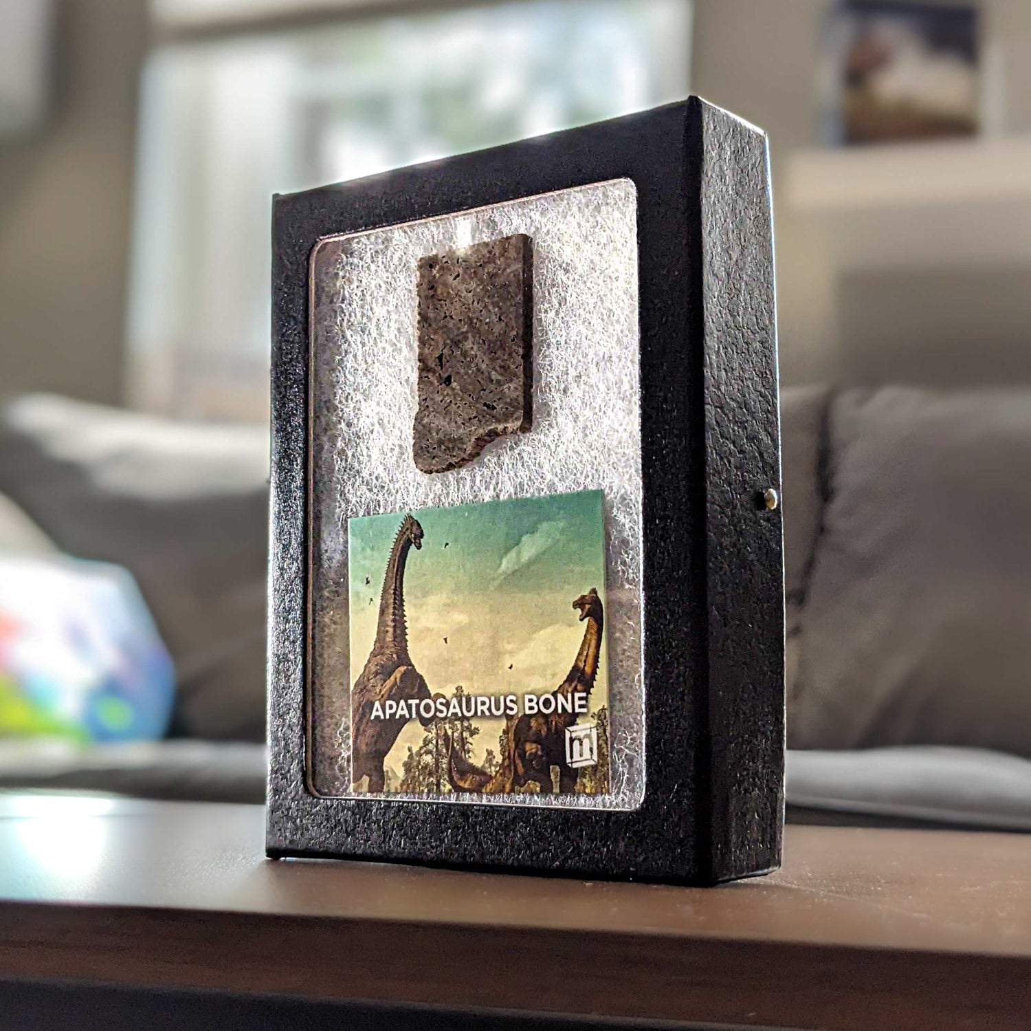 置物 out of museum 71LNwI69ZkL._AC_SY200_QL15_.jpg