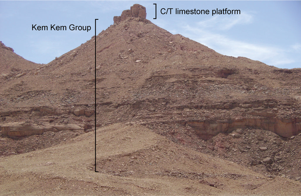 Where the Spinosaurus Roam Morocco’s Kem Kem Formation