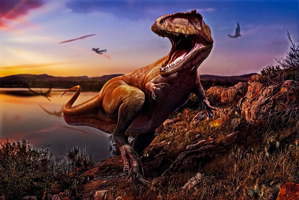 Carcharodontosaurus Illustration