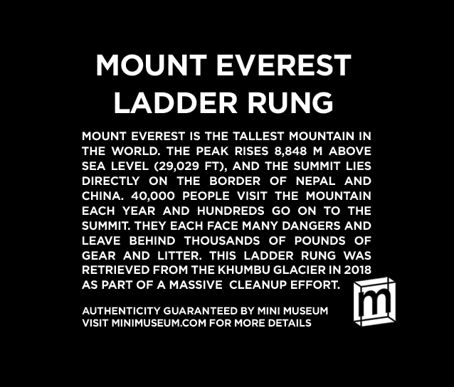 Mount Everest Ladder Rung - SOLD 13.34