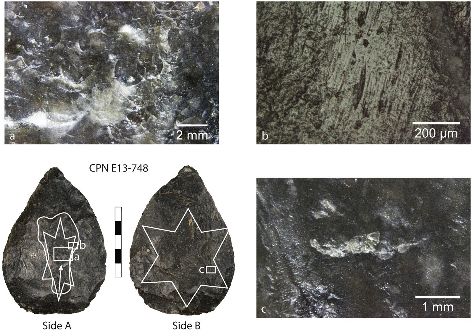 Peruvian Pyrite Cluster - 2.26