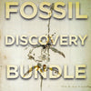 Mary Anning's Fossil Discovery Bundle - Authentic Fossils