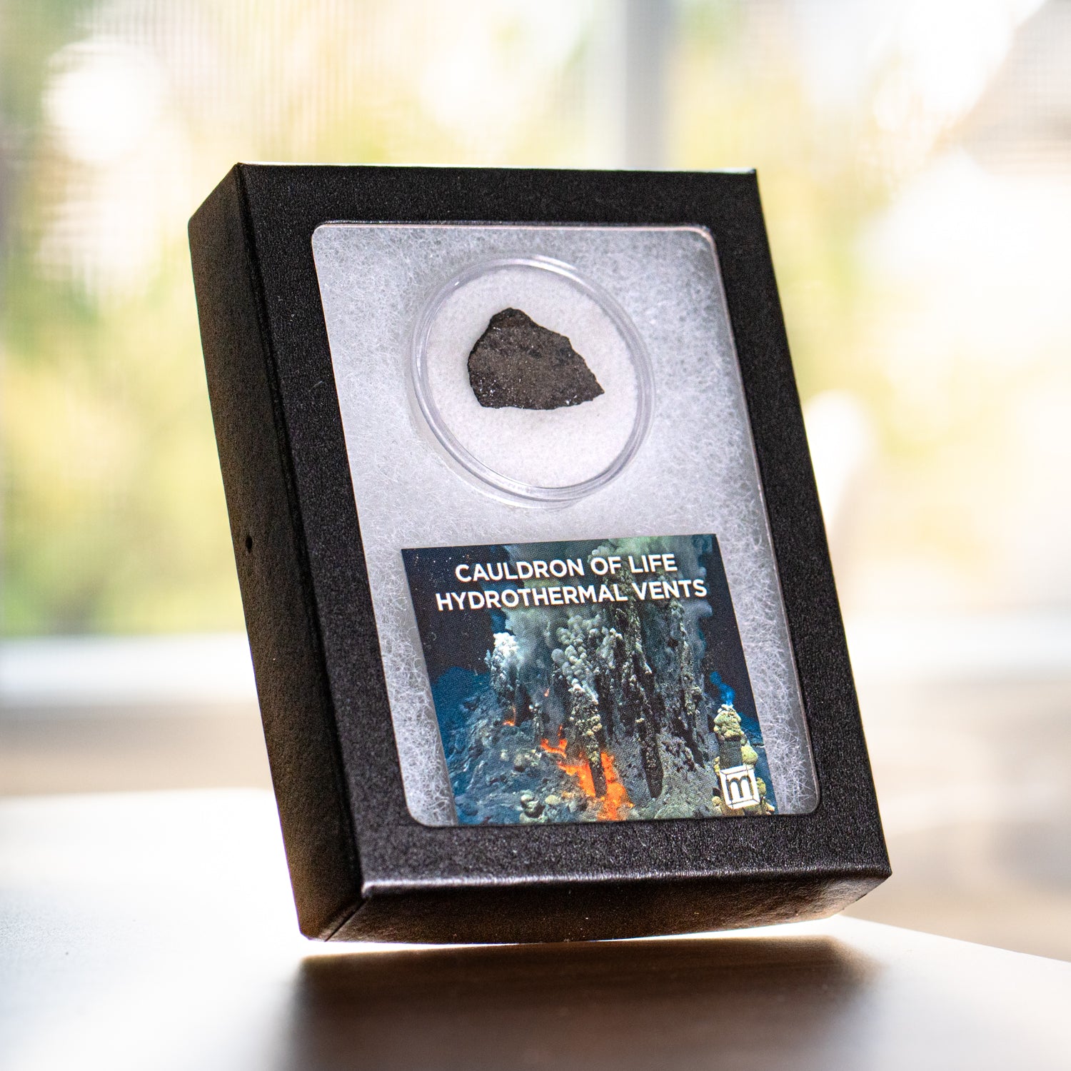 Hydrothermal Vents Cauldron of Life