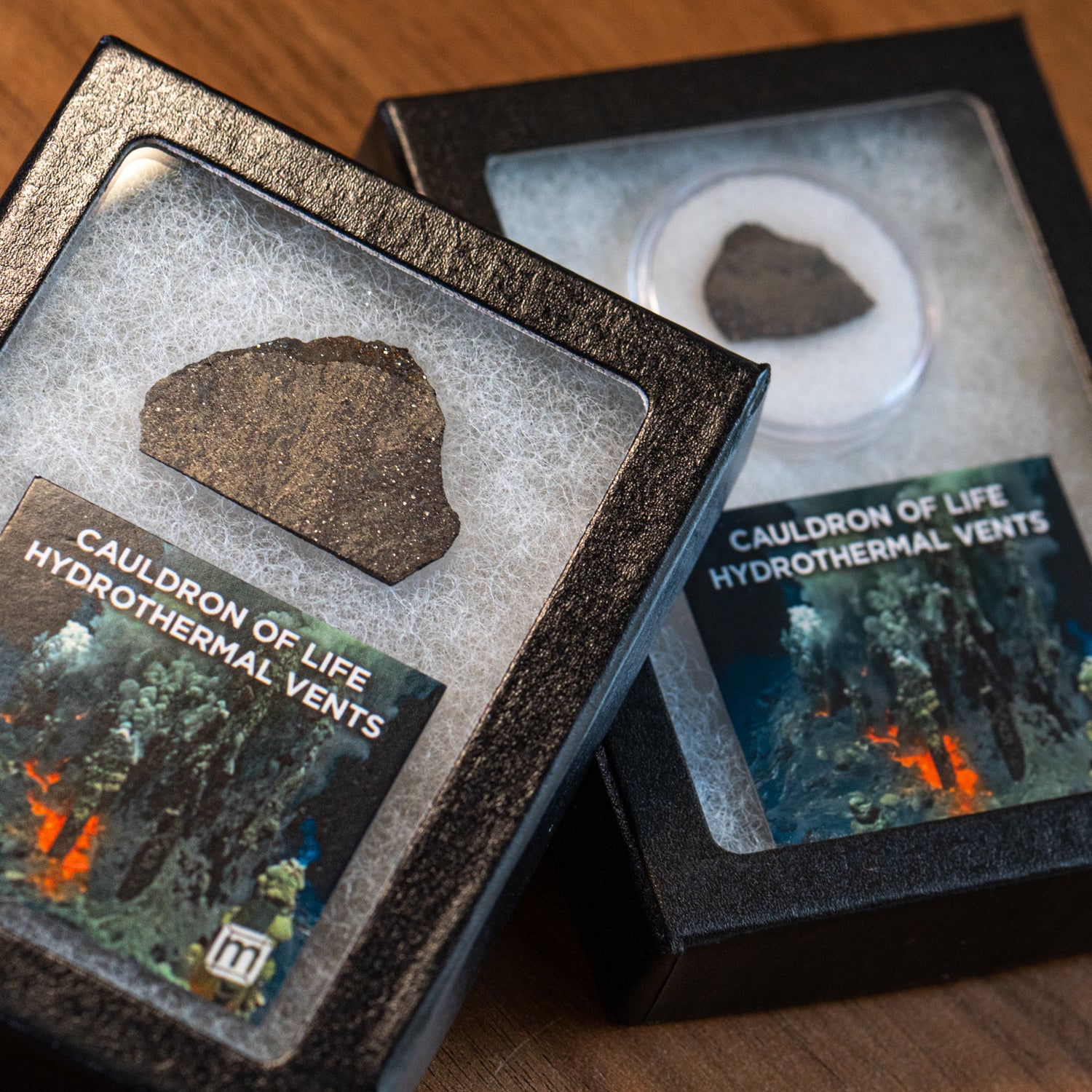 Hydrothermal Vents Cauldron of Life