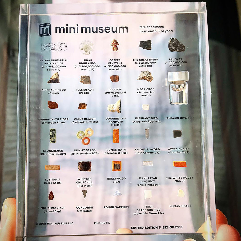 Mini Museum - Fourth Edition (LARGE - 29 Specimens)