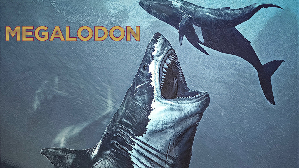 Megalodon Tooth - 5.08" Natural