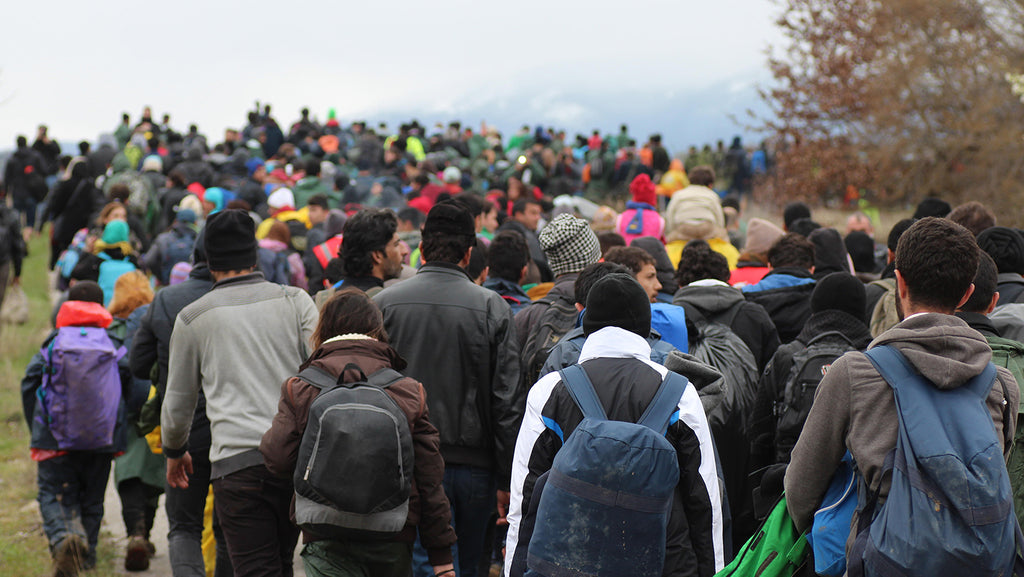 The Currents of Migration - An Essay on Human Migration in History