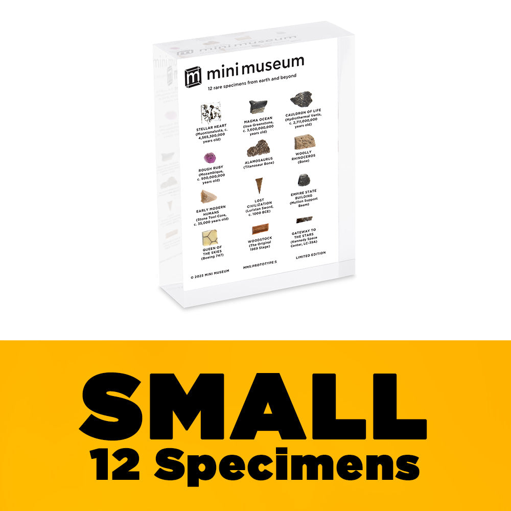 Mini Museum - Fifth Edition (SMALL - 12 Specimens)